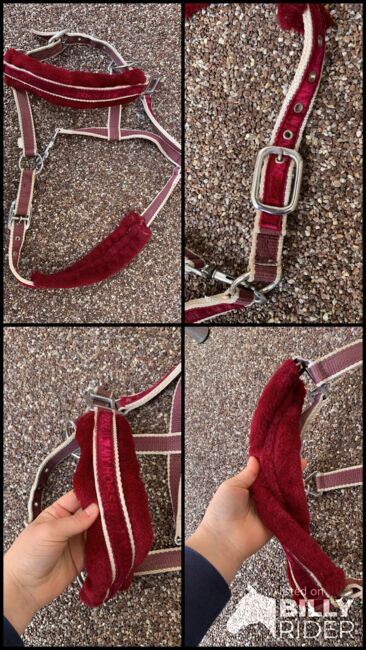 Stoffhalfter rot mit Fell WIE NEU, Alina, Halters, Herrenberg, Image 5