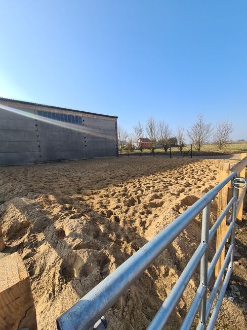 Große Box , Offenstall, Sophia, Horse Stables,  Barnstädt, Image 5