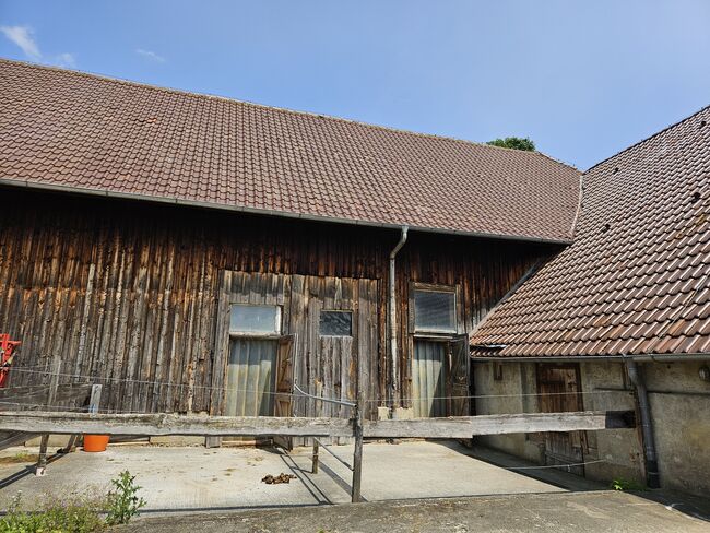 Große Paddockboxen, P. Schänziln , Horse & Stable Mats, Pfullingen, Image 4
