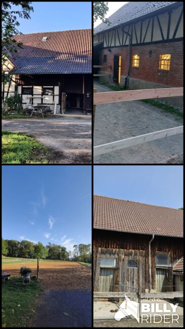 Große Paddockboxen, P. Schänziln , Horse & Stable Mats, Pfullingen, Image 5