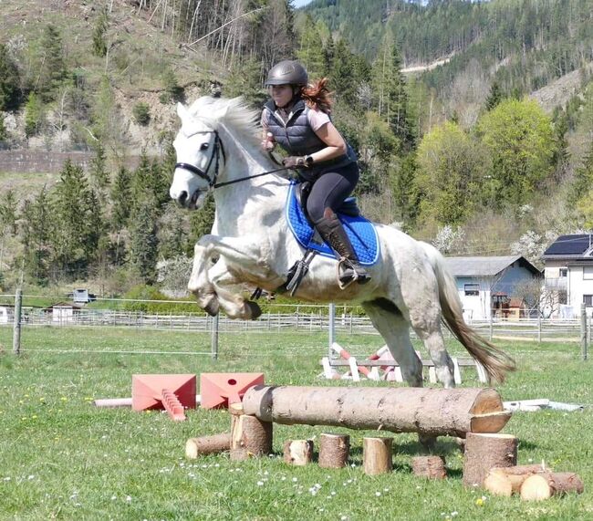 Tolle Connemara Stute sucht neues Zuhause, Christina Knapp , Horses For Sale, Leoben , Image 12