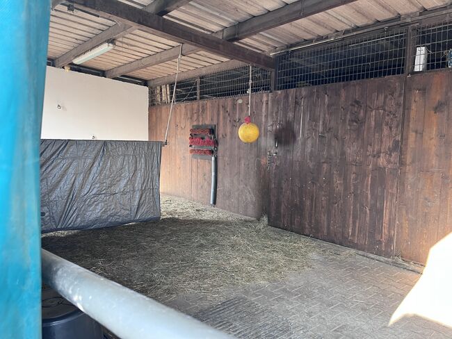 Großer separater Offenstall für Rentnerpferd frei, Ute, Horse Stables, Muggensturm, Image 2