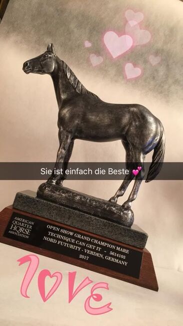 Großrahmige, ausdrucksstarke Quarter Horse Stute, Kerstin Rehbehn (Pferdemarketing Ost), Horses For Sale, Nienburg, Image 6