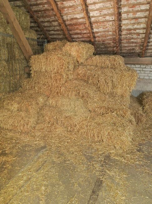 Strohballen ca. 10kg, Wellendorf Marina, Hay & Straw, Grünstadt , Image 2