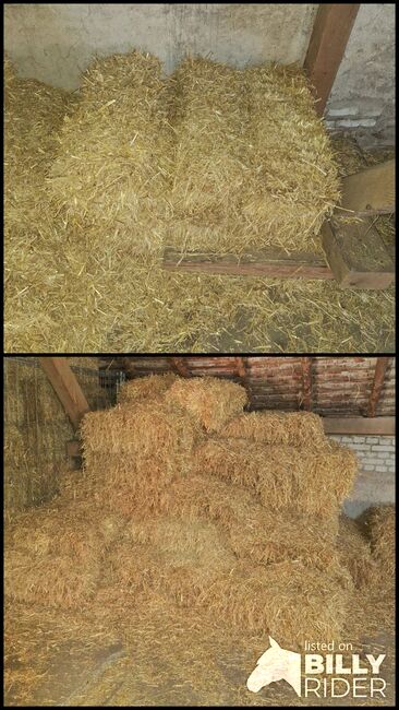 Strohballen ca. 10kg, Wellendorf Marina, Hay & Straw, Grünstadt , Image 3
