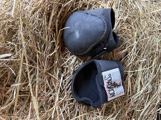 Streichkappen Eskadron, Eskadron, Selina.1204, Sonstiges, Neustadt an der Weinstraße 