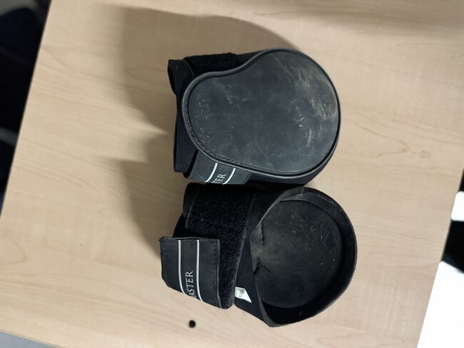 Streichkappen, Showmaster, Nina, Other, Stang bei Hatzendorf