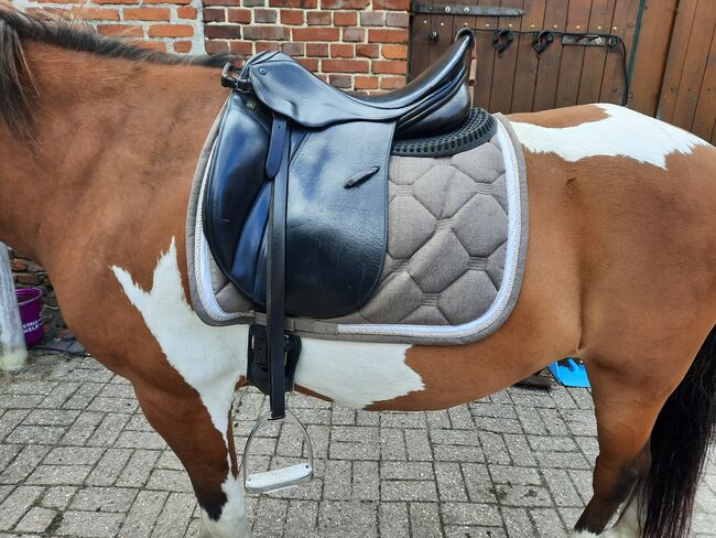 Stübben Avalon Dressursattel 17,5", Stübben Avalon, Müller , Dressage Saddle, Oldenburg 