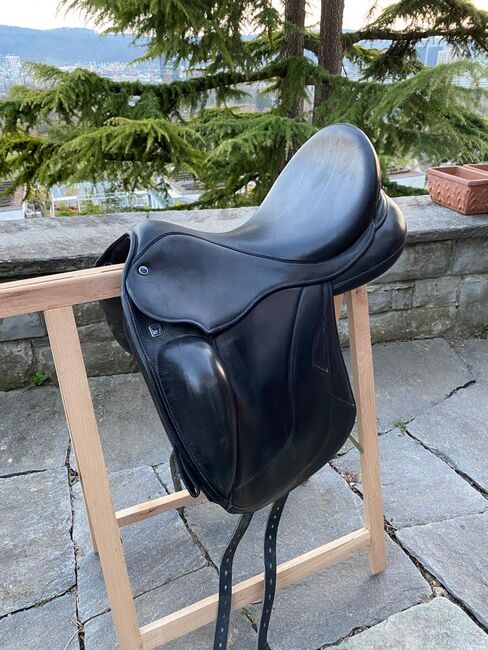 Stübben Centurion, Stübben Centurion, Franziska Müller, Icelandic Saddle, Zürich, Image 3