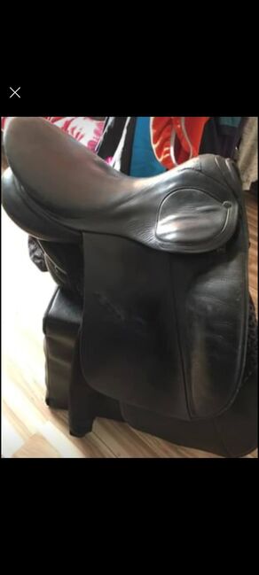 Stübben Dressursattel Scandika, Stübben  Scandika , Anna Peterek , Dressage Saddle, Hameln