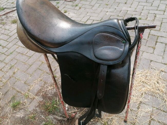 Stübben Dressur Sattel, Sattelgewöhnung, Stübben, Anja, Dressage Saddle, Uplengen, Image 2