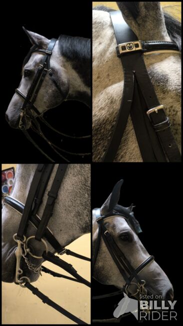 Stübben Kandarenzaum inkl. Gebisse, Stübben , Zuchthof , Bridles & Headstalls, Twistringen , Image 7