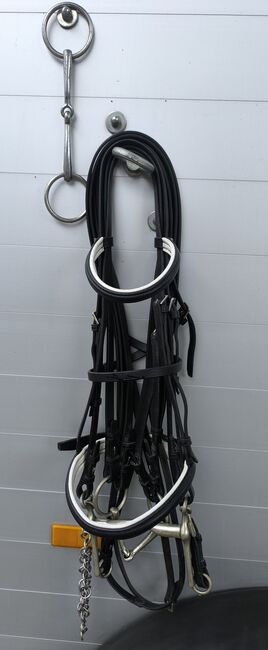 Stübben Kandarenzaum inkl. Gebisse, Stübben , Zuchthof , Bridles & Headstalls, Twistringen , Image 3
