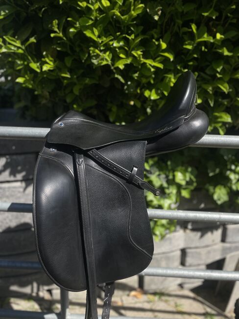 Stübben Euphoria 17,5 Zoll 31KW, Stübben Euphoria, Coco Christ, Dressage Saddle, Holzappel