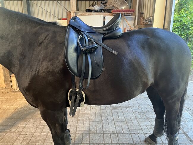 Stübben Euphoria 18", Stübben Euphoria , Nora Baumanns, Dressage Saddle, Geldern, Image 5