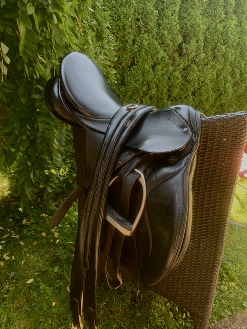 Vielseitigkeitssattel Stübben, Stübben VSD Genesis , Lisa, All Purpose Saddle, Salzburg , Image 6