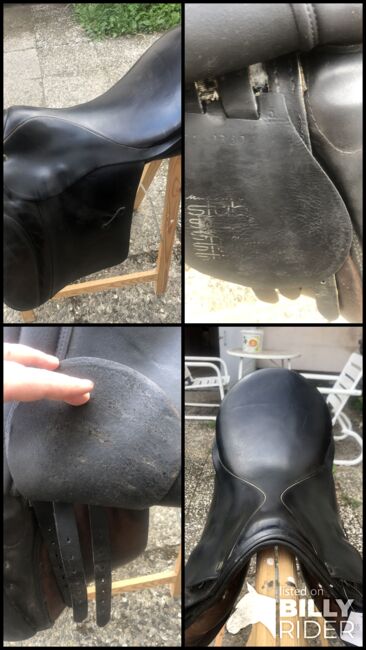 Stübben Vielseitigkeitssattel Schwerpunkt Dressur 31 Zoll, Stübben, Reinipour, All Purpose Saddle, Wadersloh, Image 6