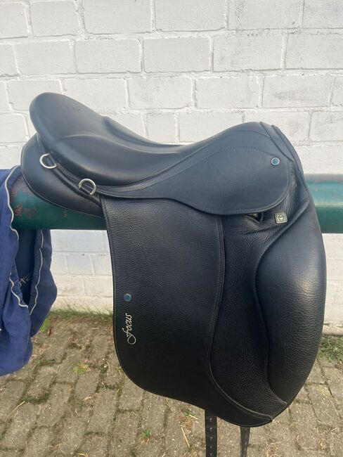 Stübben  Focus Dressursattel, Isländersattel, Stübben  Stübben BH Focus, Marina Torkler , Dressage Saddle, Kiel