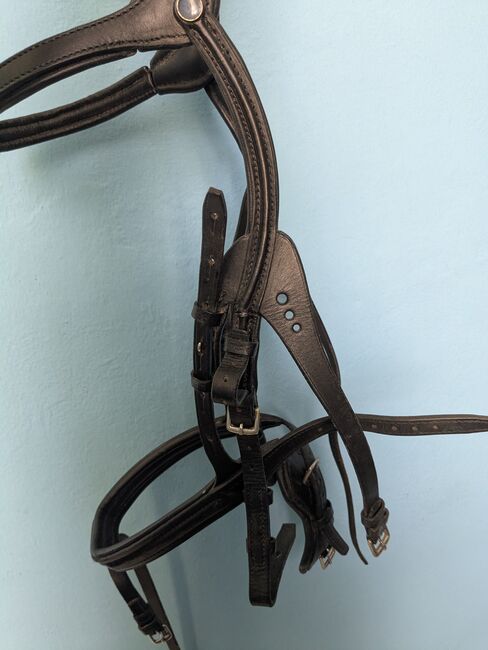 Stübben Freedom, Stübben Freedom, Xandi, Bridles & Headstalls, Hollabrunn, Image 2
