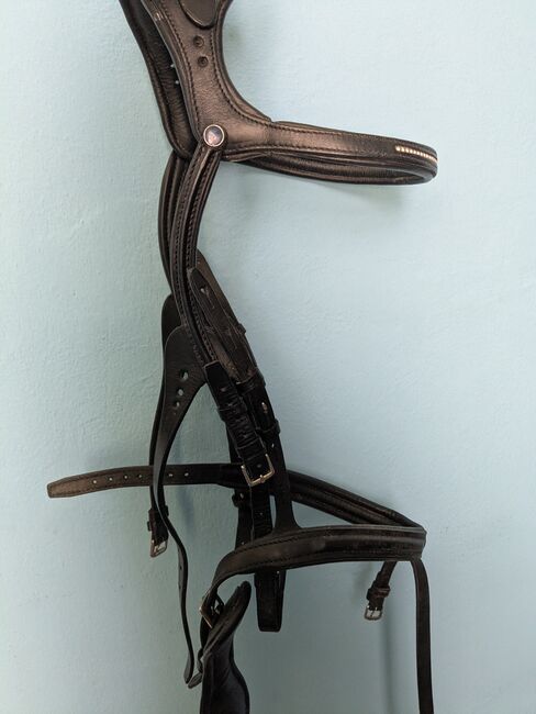 Stübben Freedom, Stübben Freedom, Xandi, Bridles & Headstalls, Hollabrunn, Image 3