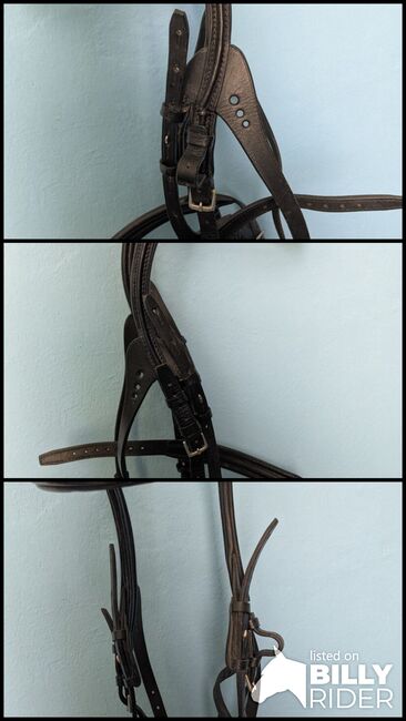 Stübben Freedom, Stübben Freedom, Xandi, Bridles & Headstalls, Hollabrunn, Image 4