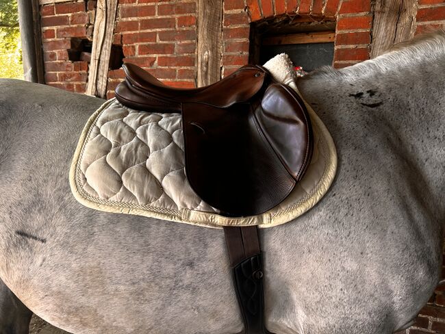 Stübben Springsattel, Stübben Edelweiss , Alyssa, Jumping Saddle, Rietberg , Image 4