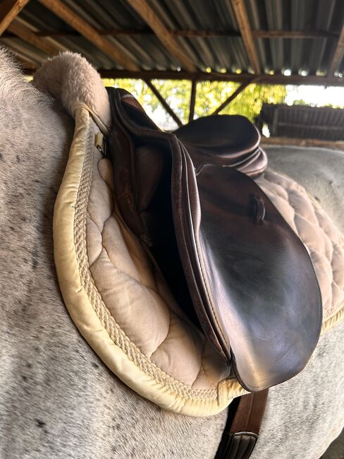 Stübben Springsattel, Stübbel Edelweiss , Alyssa, Jumping Saddle, Gronau , Image 4
