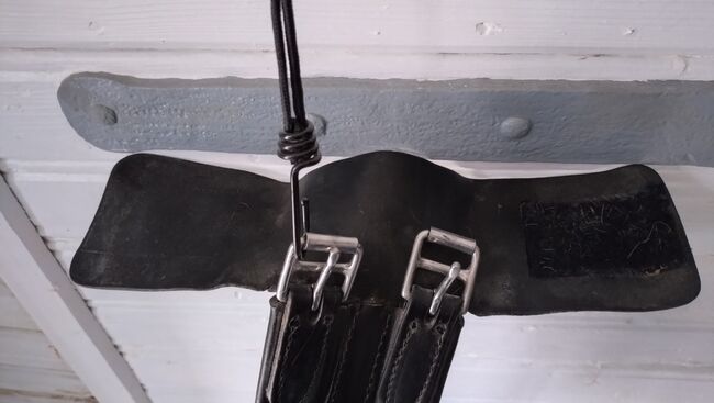 Stübben Leder Kurzgurt 60cm, Stübben, Eva, Girths & Cinches, Guntersblum , Image 2