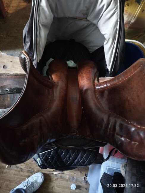 Stübben Parzival VS 17' 32er Kammer, Stübben Parzival , Anett, All Purpose Saddle, Baruth/Mark, Image 11