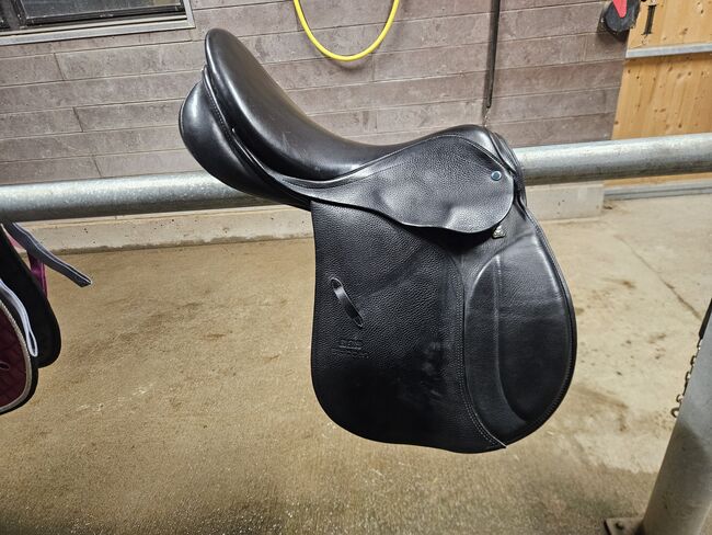 Stübben Roxane, Stübben Roxane, Leonie, Springsattel, Riggisberg