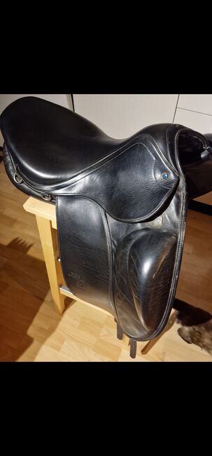 Stübben Sattel, Stübben , Sylvia Haldimann , Icelandic Saddle, Oberthal