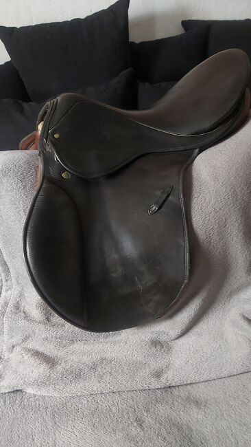 Stübben Sattel, Stübben Siegfried, Sophia , All Purpose Saddle, Stadthagen Habichhorst-Blyinghausen, Blyinghausen