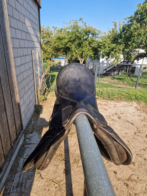 Stübben Scandica, Stübben  Scandica, Kirsten , Dressage Saddle, Korswandt, Image 4