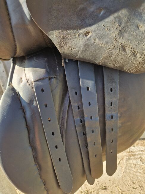 Stübben Scandica, Stübben  Scandica, Kirsten , Dressage Saddle, Korswandt, Image 5