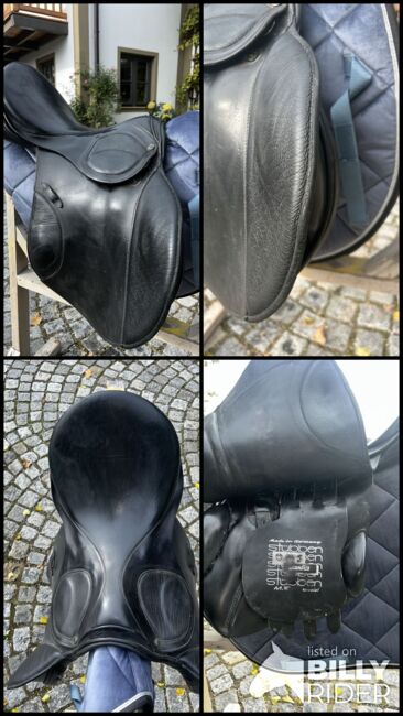 Stübben Scandica Spizial Springsattel, Stübben Scandica spezial , Magdalena Rackl, Jumping Saddle, Petting, Image 18
