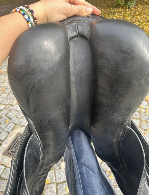 Stübben Scandica Spizial Springsattel, Stübben Scandica spezial , Magdalena Rackl, Springsattel, Petting, Abbildung 12