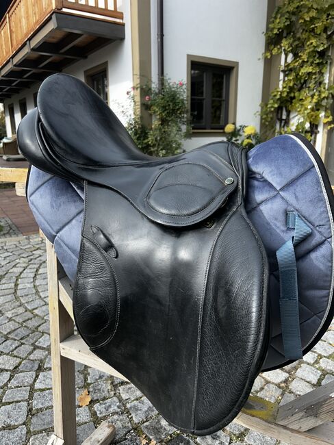 Stübben Scandica Spizial Springsattel, Stübben Scandica spezial , Magdalena Rackl, Jumping Saddle, Petting