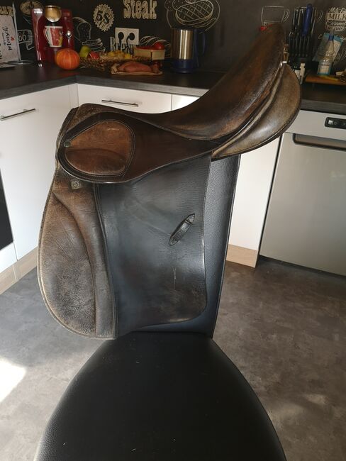 Stübben Scandica VSD 17,5 Zoll, Stübben  Scandica , Anika, All Purpose Saddle, Krayenberggemeinde, Image 10