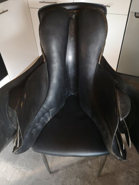 Stübben Scandica VSD 17,5 Zoll, Stübben  Scandica , Anika, All Purpose Saddle, Krayenberggemeinde, Image 8