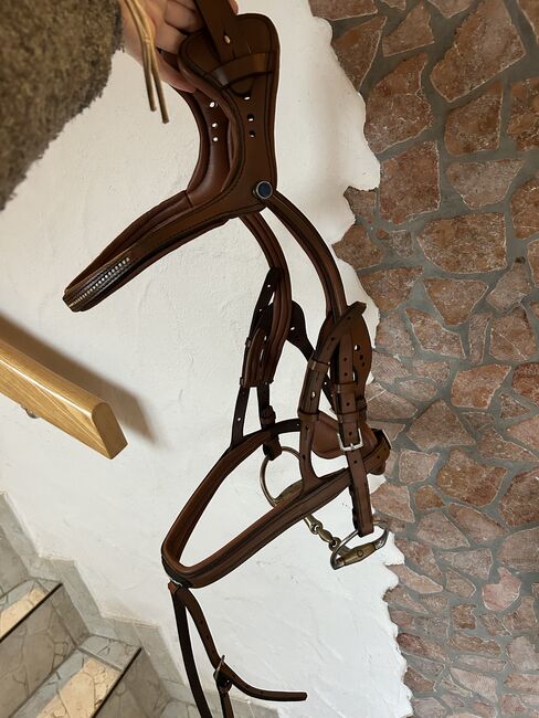 Stübben Trense Freedom Gr. Warmblut, Stübben Freedom Magic Tack Trense, Celine A., Ogłowia, Bromskirchen