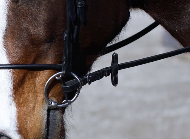 stübben STEELtech Bucephalus Pro Horse Bit, Stübben Bucephalus, Alisha Herbig, Horse Bits, Nieder-Olm, Image 3