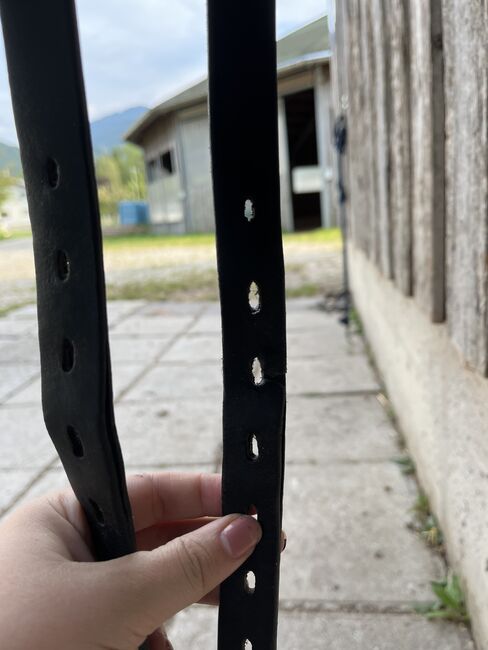 Stübben Tristan 17,5 Zoll 31 Kammerweite, Stübben Tristan, Emelie Eckhart, Dressursattel, Grünau im Almtal, Abbildung 3