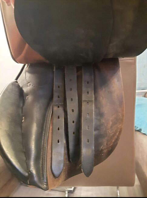 Stübben VSD Sattel Siegfried, Stübben Siegfried, Lea, All Purpose Saddle, Oberwiesenthal, Image 6