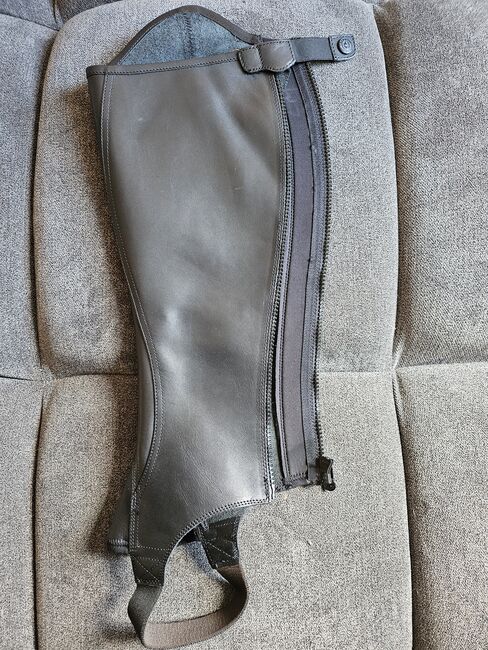 Suedwind Lederchaps, Suedwind Grand Prix Pro, Mareike , Half Chaps, Strodehne , Image 2