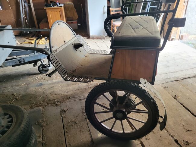 Sulky / Kutsche, Roman, Carriages, Degen, Image 3