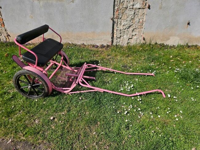 Sulky Shetty, Nicole Pautz, Carriages, Hestedt