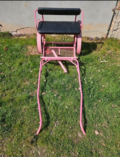 Sulky Shetty, Nicole Pautz, Carriages, Hestedt, Image 3