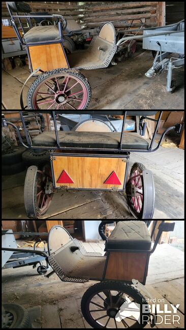 Sulky / Kutsche, Roman, Carriages, Degen, Image 4