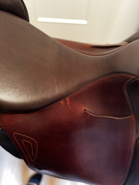 Sommer Brasilia, Sommer Brasilia, Nadine Eder-Knispel, Dressage Saddle, Schwendau, Image 4