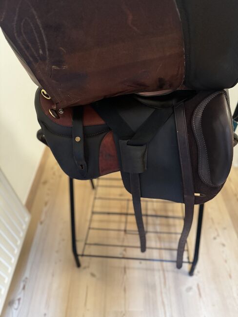 Sommer Brasilia, Sommer Brasilia, Nadine Eder-Knispel, Dressage Saddle, Schwendau, Image 13